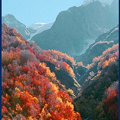 photo "Morning gorge. A series " the Caucasian autumn ""