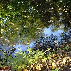 photo "Upon the beginning dawn"