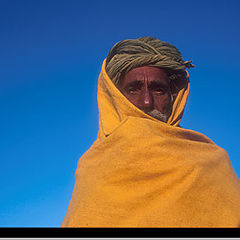 фото "Camel Driver"