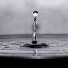 photo "Drop"