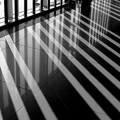 photo "Black-white reflection"