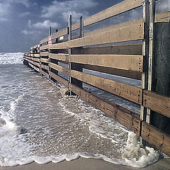 photo "Fence of the sea"