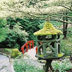 фото "Japanese Garden"