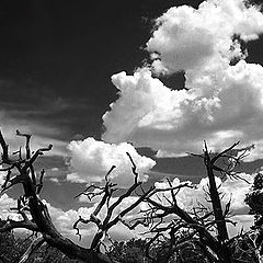 photo "Cloud-magic over the national-park"