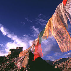 фото "Prayer Flags in Ladakh"