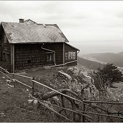 photo "Living on the Edge"