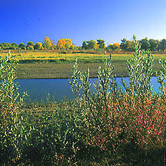 photo "The river`s fall"