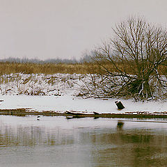 фото "Меланхолия"