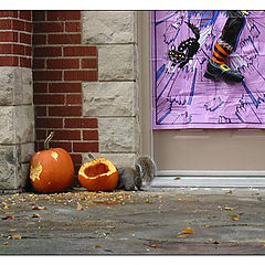 фото "Hallowe`en for squirrel"