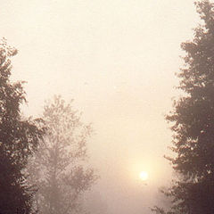 фото "В тумане II"