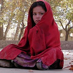 фото "Afghan beggar girl"