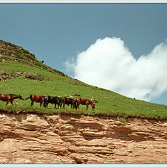 photo "On a mountain pasture"