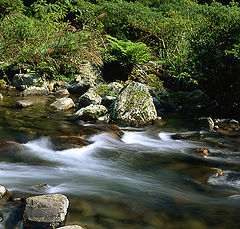 photo "Stream(1)"