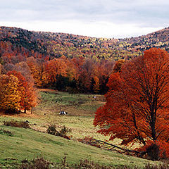 photo "Autumn Colors 1"