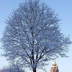 фото "Свет и тень"