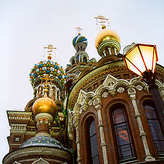 фото "Без названия"