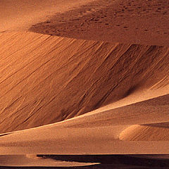 photo "Sand Dunes#6"