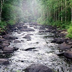 photo "Morning on Dekkal brook"