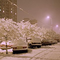 фото "Перезимуем!"