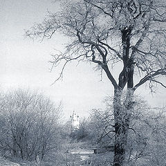 photo "Frosty day in Suzdal"