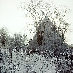 photo "Frosty day in Suzdal #2"