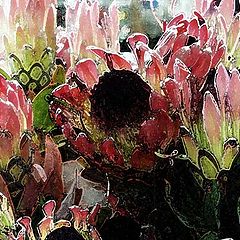 photo "bouquet"