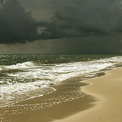 photo "Storm Warning"