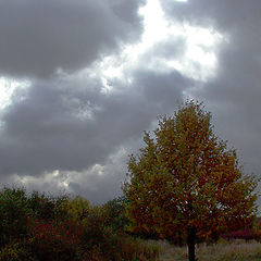 photo "Before a thunder-storm"