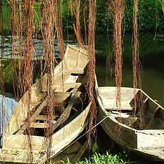 photo "Love boats"