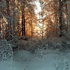 фото "След"