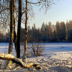 фото "Зимняя картинка"