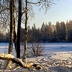 фото "Зимняя картинка"