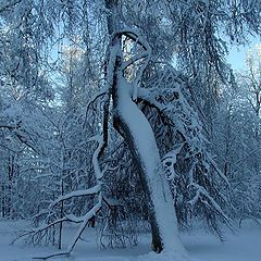 фото "Вечер..."