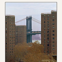 photo "New York -Manhattan Bridge"