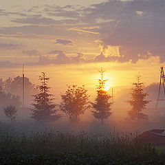 photo "There, where kitchen gardens come to an end..."