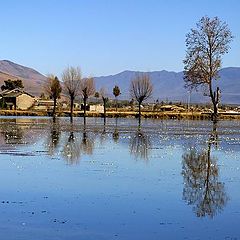 фото "Pond in Yunnan"