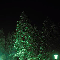 photo "Emerald night"