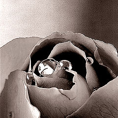 photo "_"