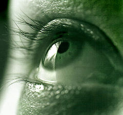 photo "_"