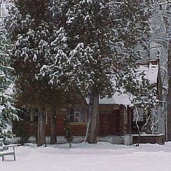 photo "The house in a wood"