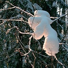 photo "Snow-creature"