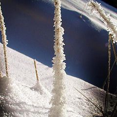 фото "Ледяной старт"