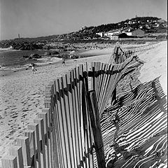 photo "fence"