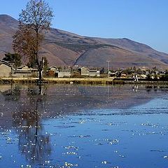 photo "Yunnan, China"