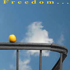 photo "Freedom..."