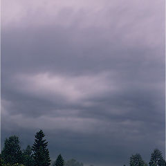 photo "Presentiment of a thunder-storm...."