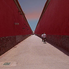 фото "Red 4"