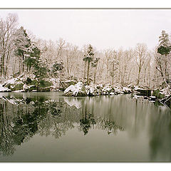 фото "First Snow"