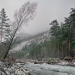 photo "Gloomy day."