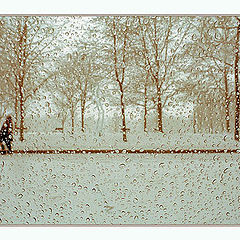 photo "First snow (look from the inside)"